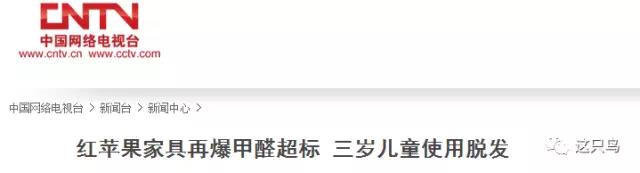 中國網絡電視臺報道